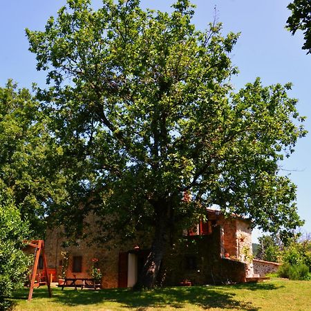 Bed and Breakfast Il Venaio Massa Marittima Esterno foto