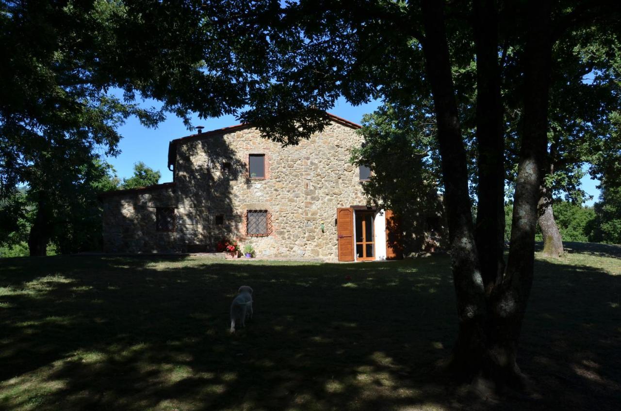 Bed and Breakfast Il Venaio Massa Marittima Esterno foto