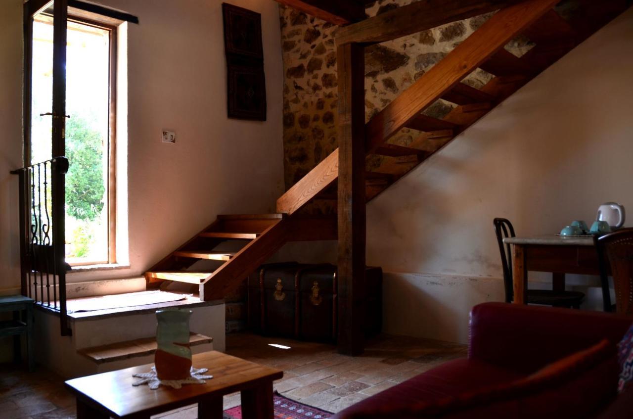Bed and Breakfast Il Venaio Massa Marittima Esterno foto