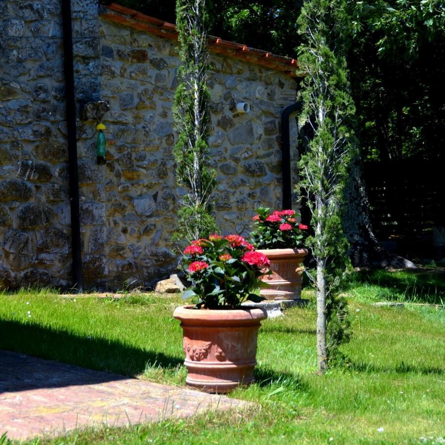 Bed and Breakfast Il Venaio Massa Marittima Esterno foto