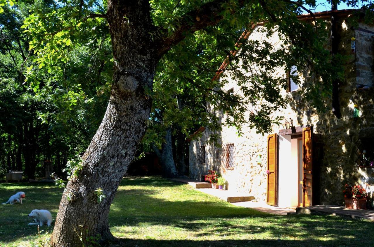 Bed and Breakfast Il Venaio Massa Marittima Esterno foto