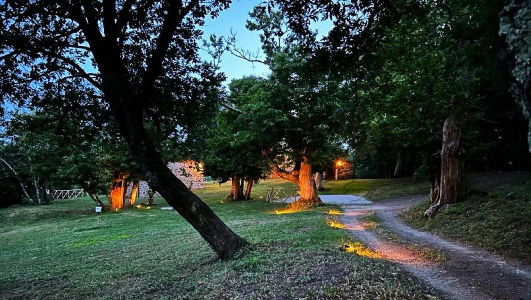 Bed and Breakfast Il Venaio Massa Marittima Esterno foto