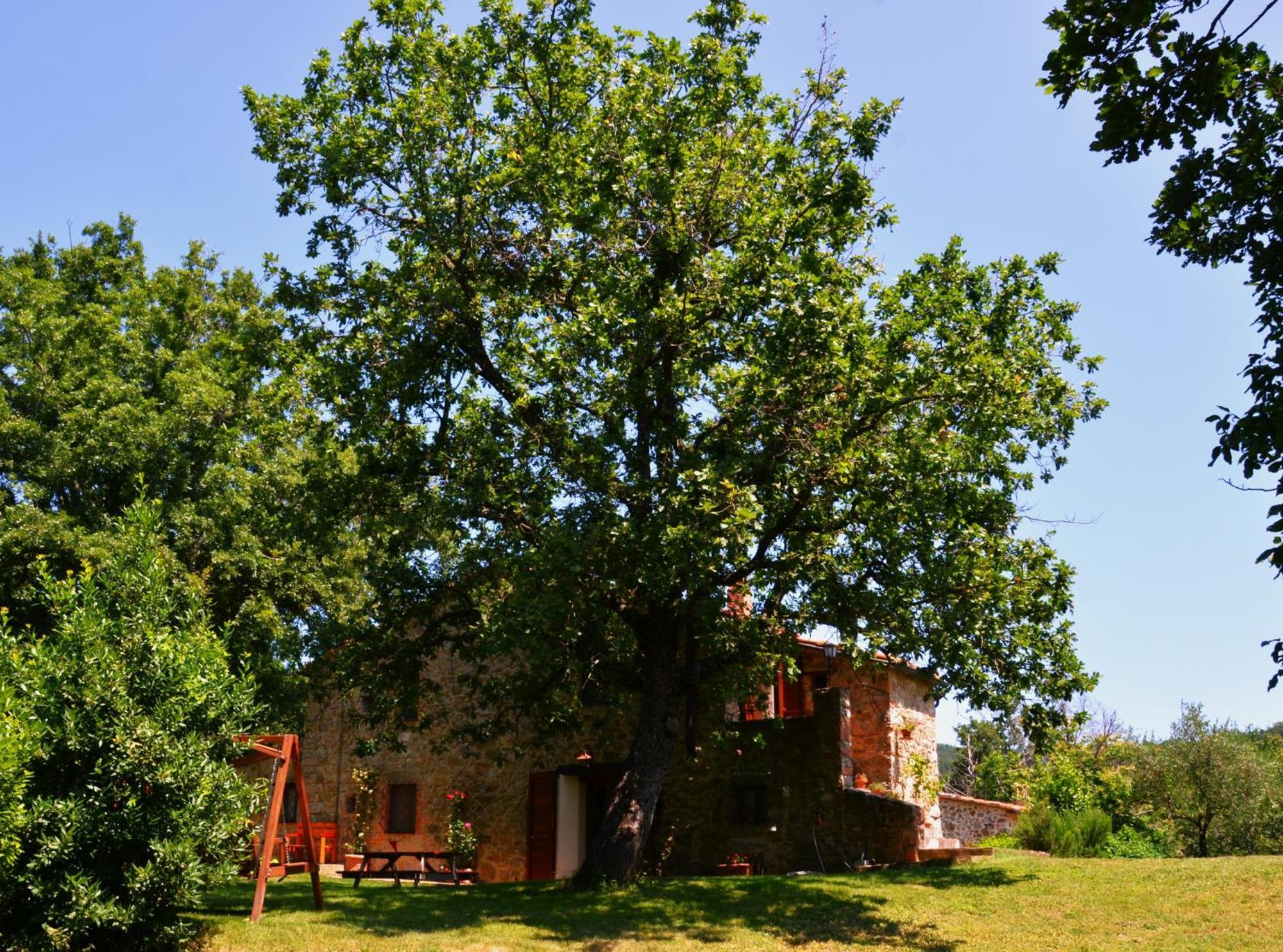Bed and Breakfast Il Venaio Massa Marittima Esterno foto