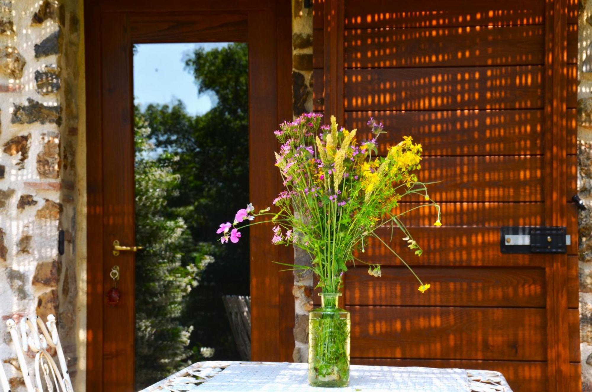 Bed and Breakfast Il Venaio Massa Marittima Esterno foto